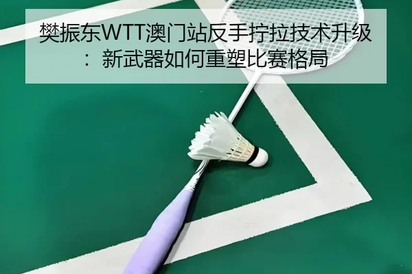 樊振东WTT澳门站反手拧拉技术升级：新武器如何重塑比赛格局