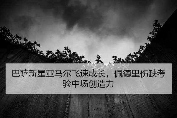 ba-sa-xin-xing-ya-ma-er-fei-su-cheng-zhang-pei-de-li-shang-que-kao-yan-zhong-chang-chuang-zao-li-2-489.jpg